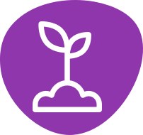 Scale & Grow Icon - Talentoday
